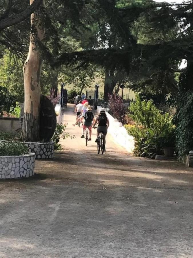 B&B Mandorla Amara 乔亚德尔科尔 外观 照片